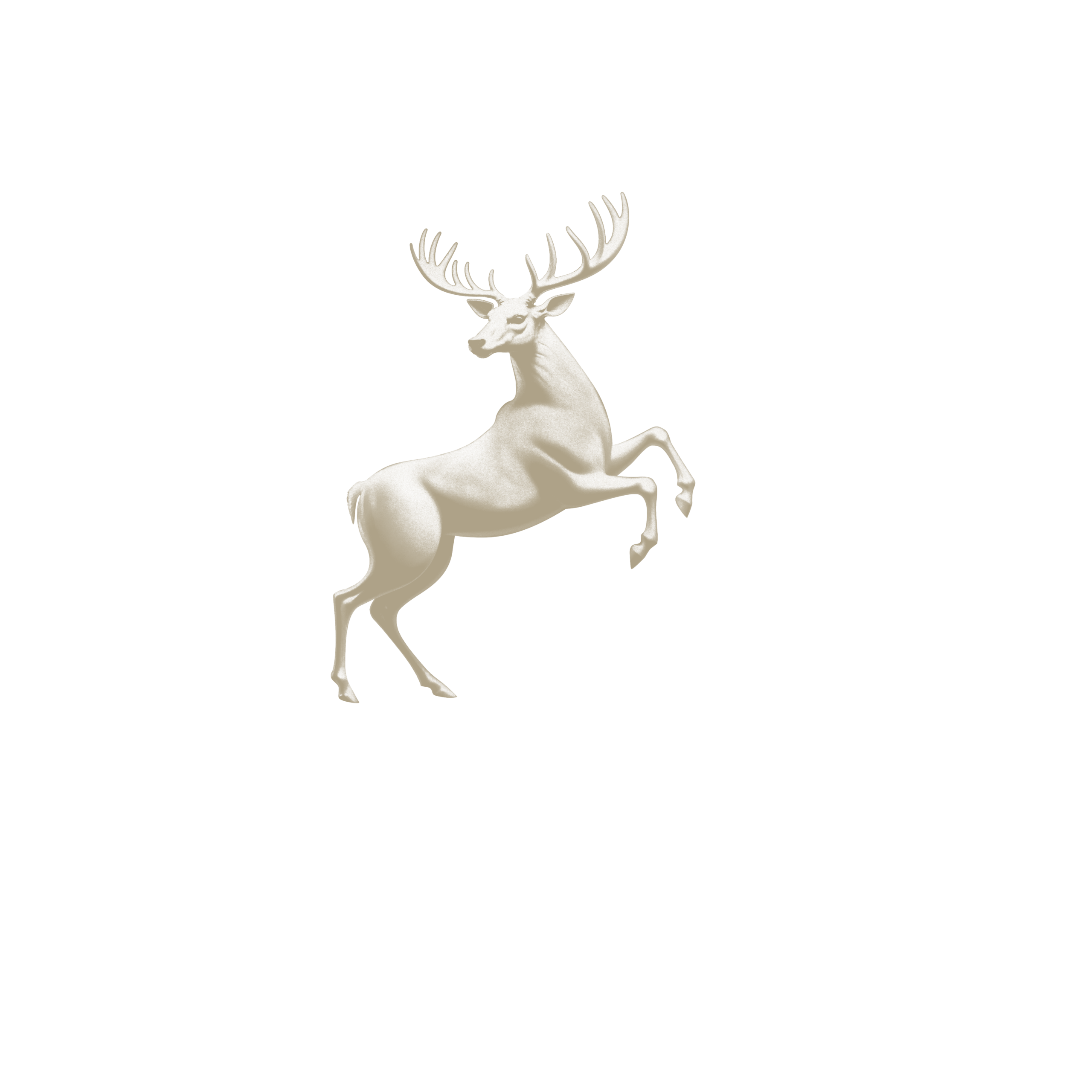 BRU – Request Shopper Marketing